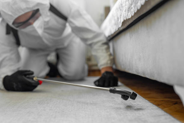 Professional Ant Control technician working in Hillcrest, NY