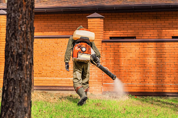Trusted Mosquito Control service in Hillcrest, NY - Nex Pest Control